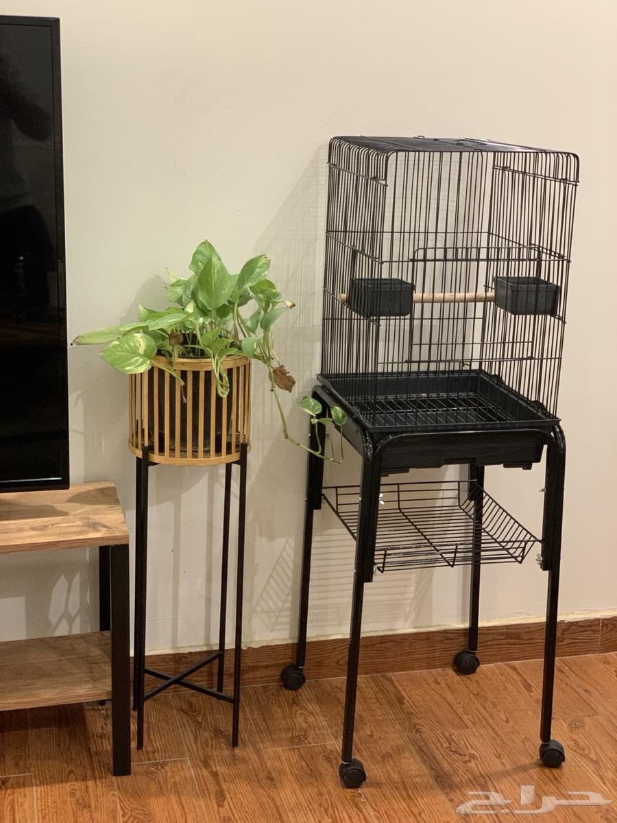 قفص ببغاء64387467503107111