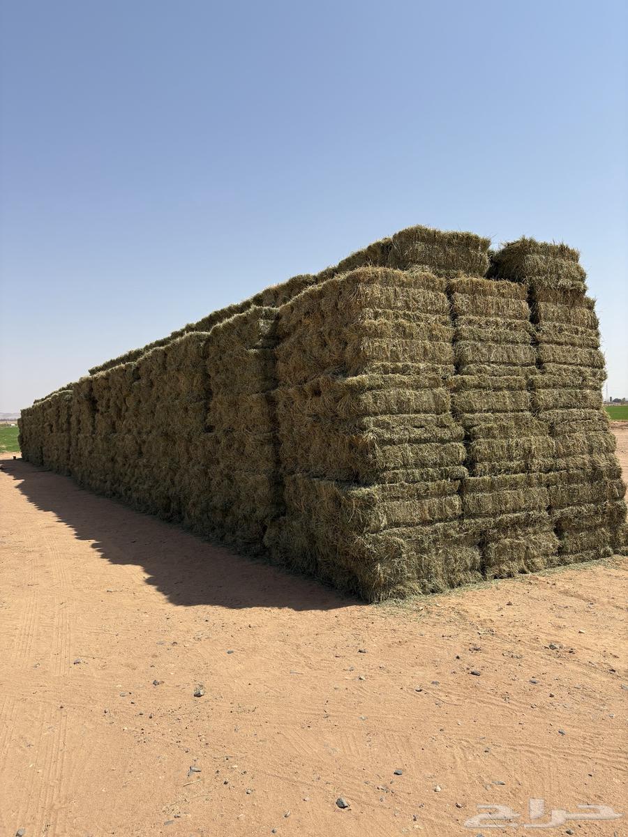 Pure clover64377944425731110