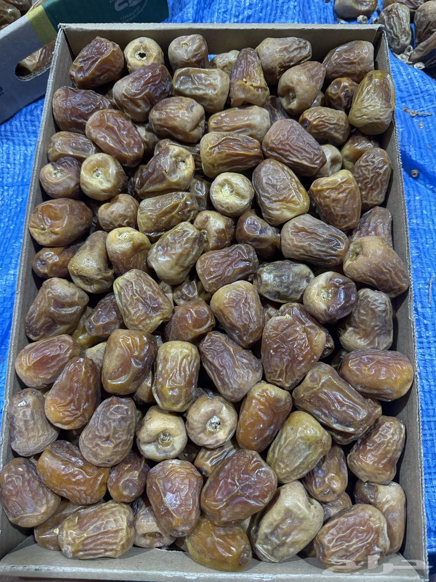 Khuraif Royal Sugar Dates Today64390249854722112