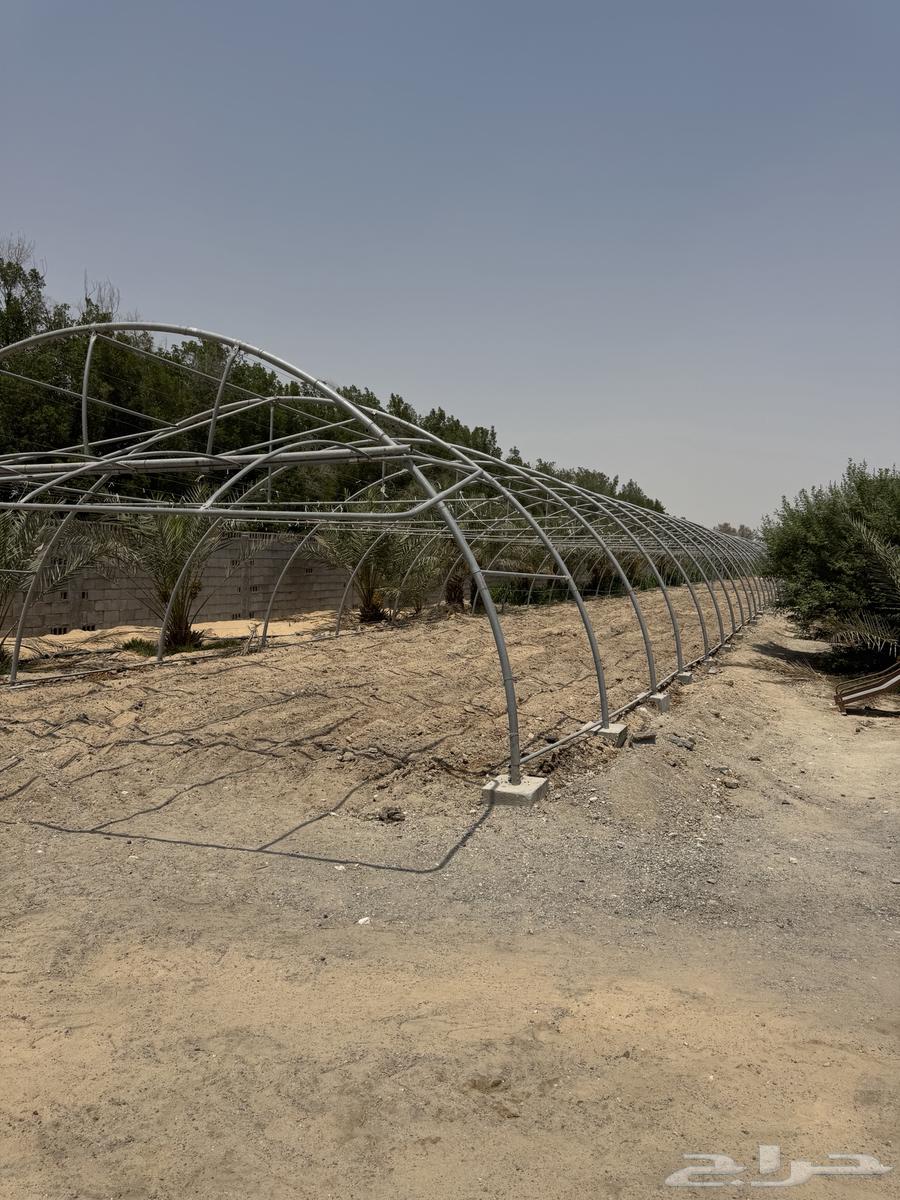 للبيع بيوت محمية جودة64382873559042112