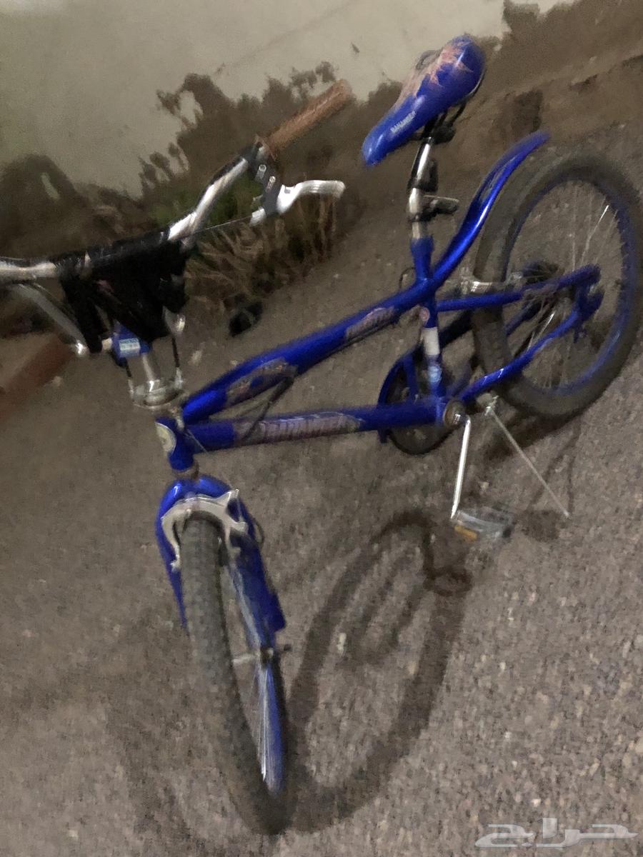 Cobra size 21, no complaints, asking over 9564389211035649113