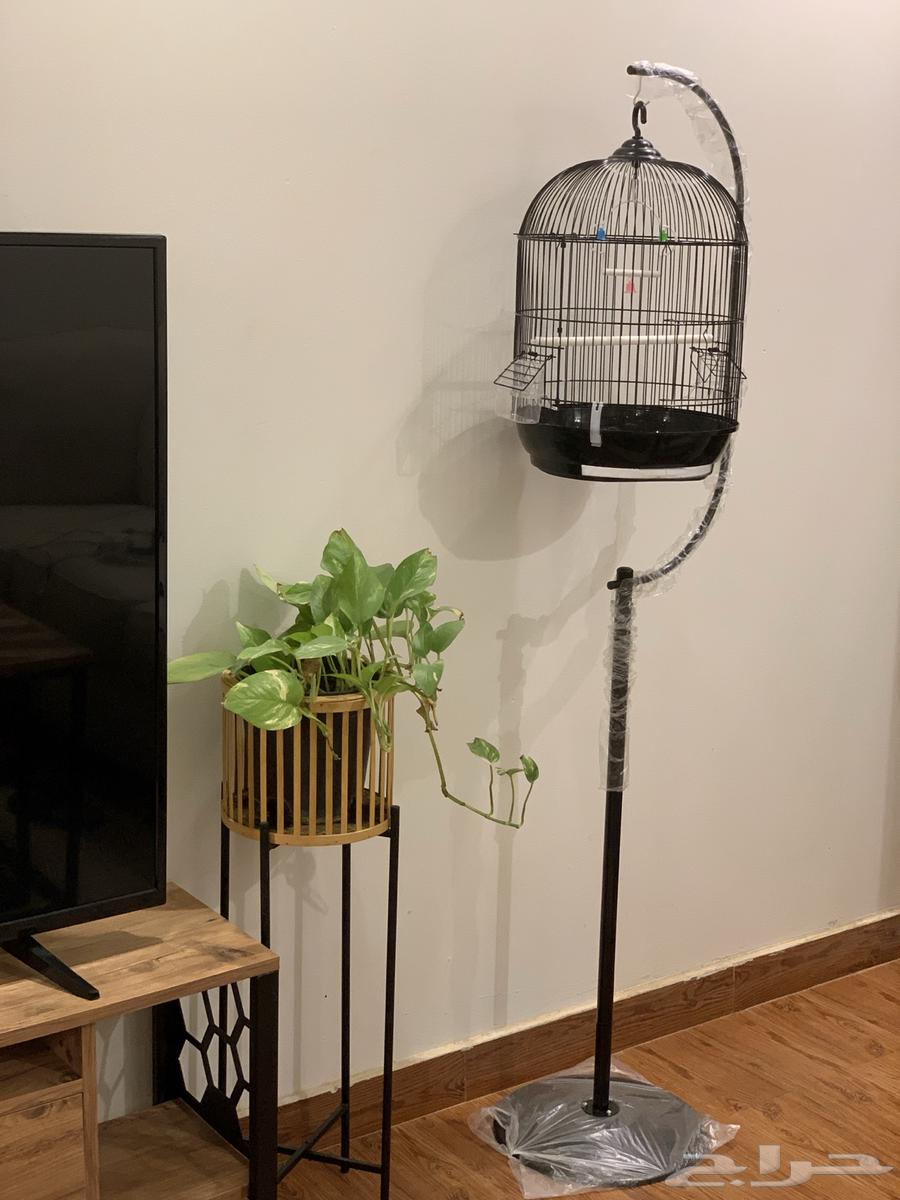 قفص ببغاء64387467503107113