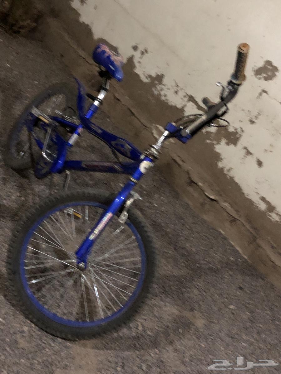 Cobra size 21, no complaints, asking over 9564389211035649112