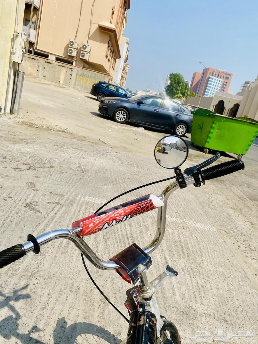 الخبر  حي العقربية64381054508674113