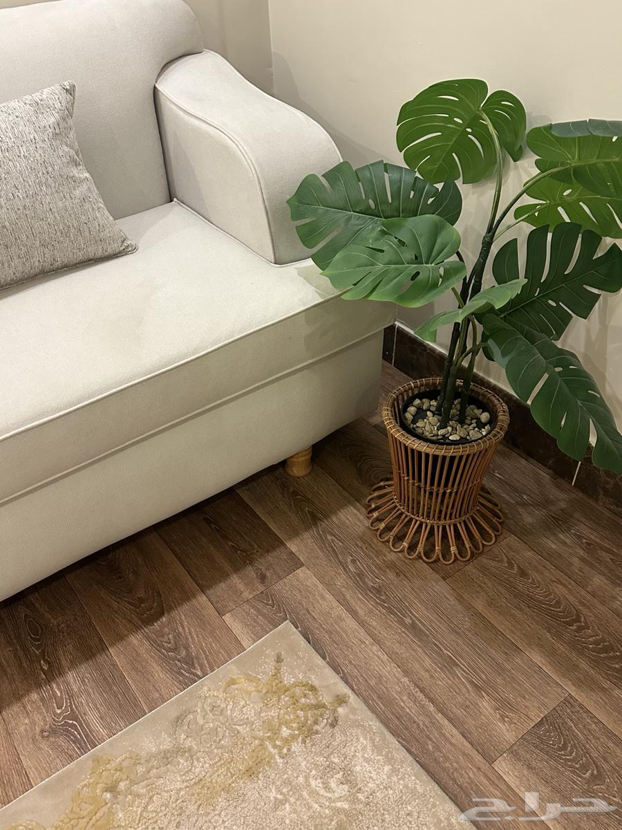 كنب زاوية قماش شانيل للبيع64384409932931110