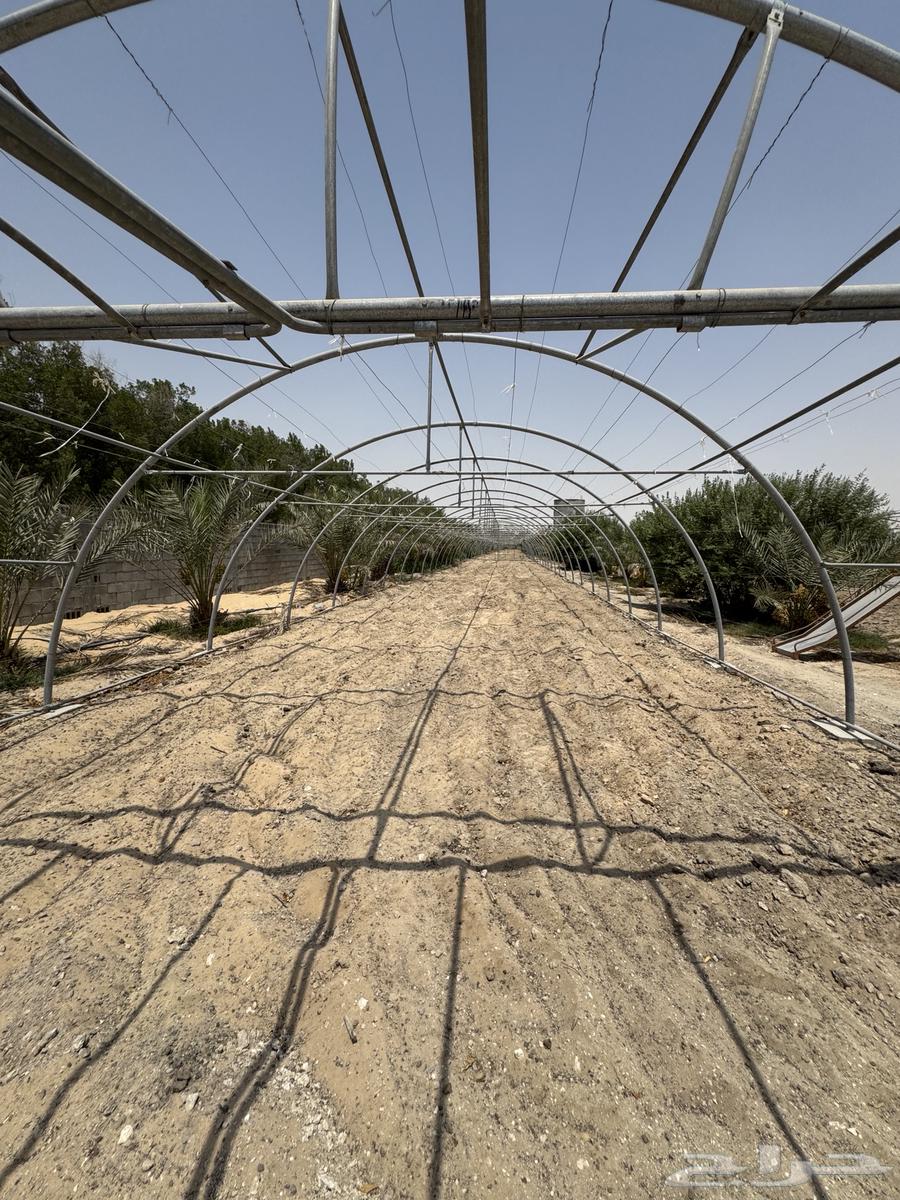 للبيع بيوت محمية جودة64382873559042113