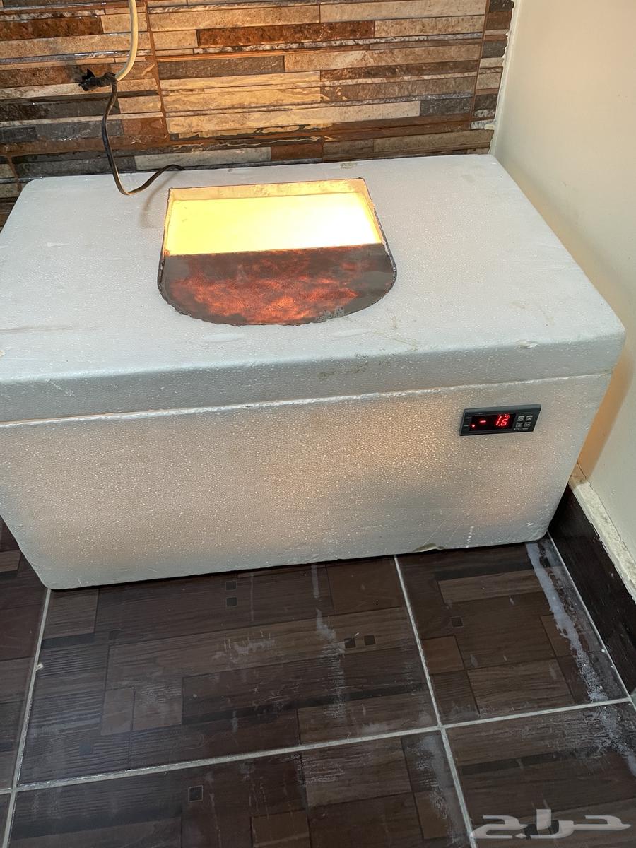 فقاسه للبيع الموقع الخرج64382362338946110