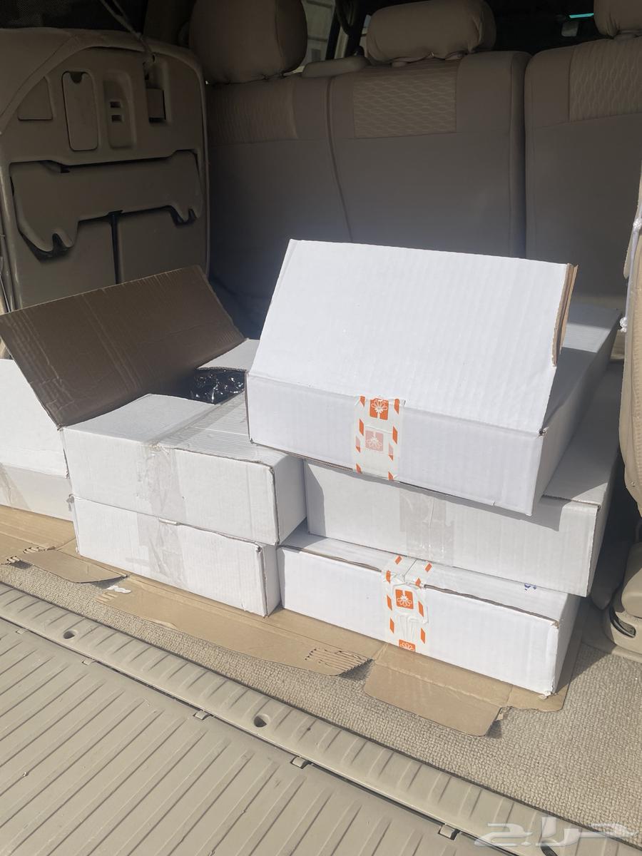 Date Boxes No. 764383994967043111