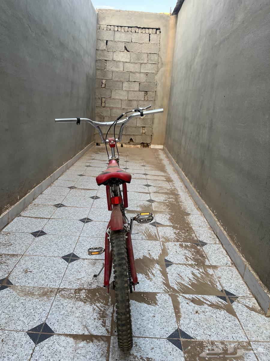 A very clean 20-inch bicycle, but the rear tire is either deflated or punctured64379457857665111