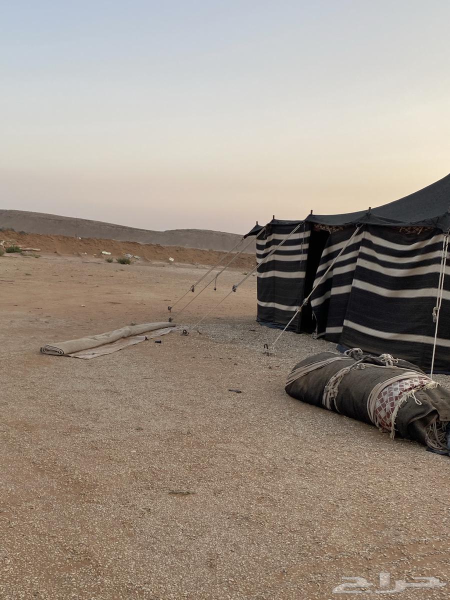 للبيع اغراض مخيم وبيوت شعر نظيفه64379732528898113