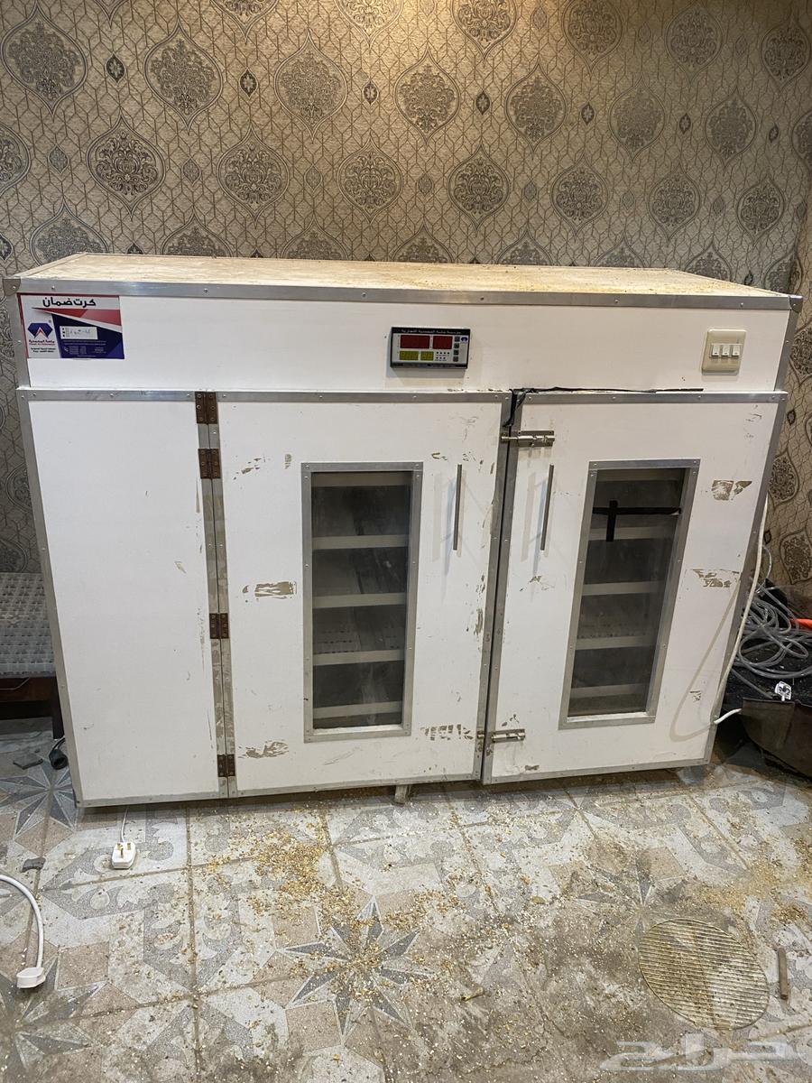 Tamatik incubator64378076334338111