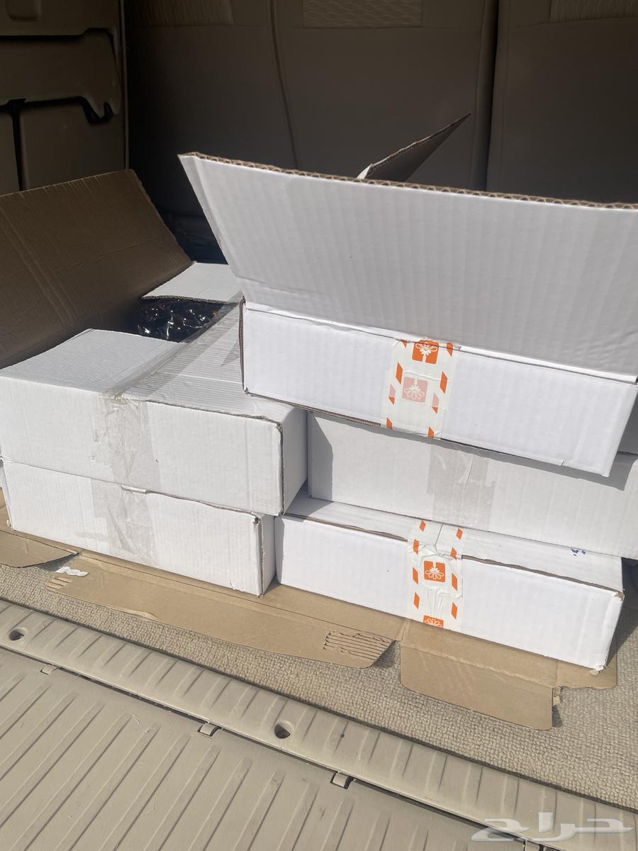 Date Boxes No. 764383994967043113