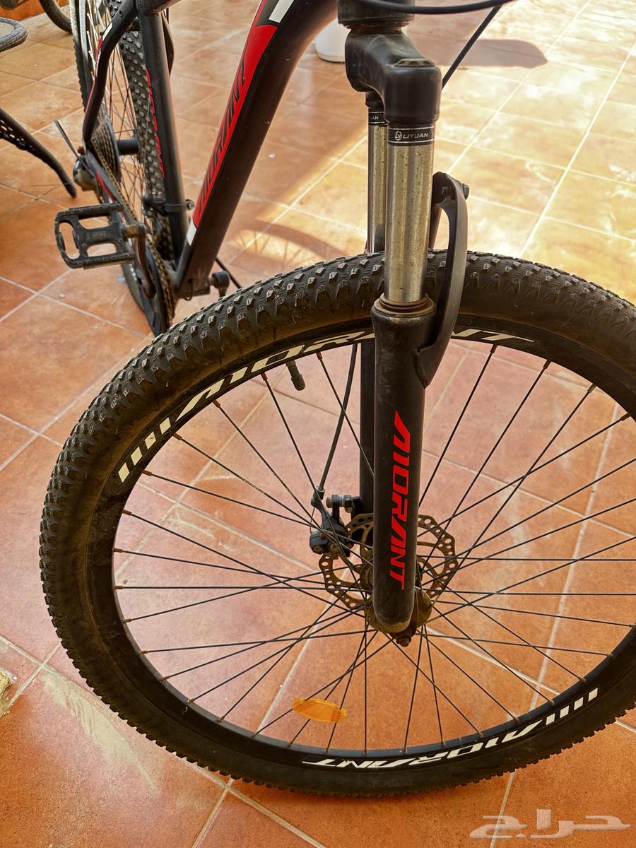 دراجة هوائيةمقاس 29 شبه جديده64381013186947114