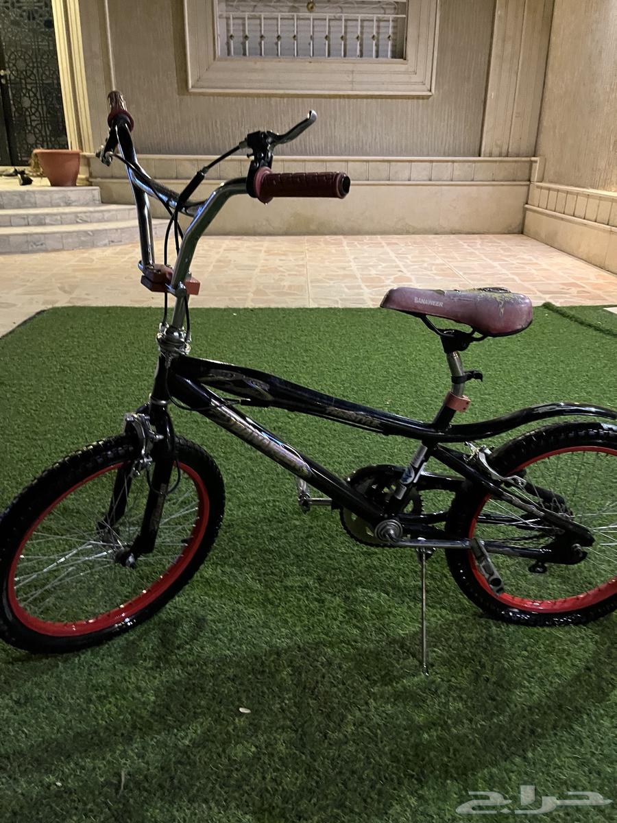 سيكل كوبرا مقاس 20 جديد ولا خدشه64378440383874112