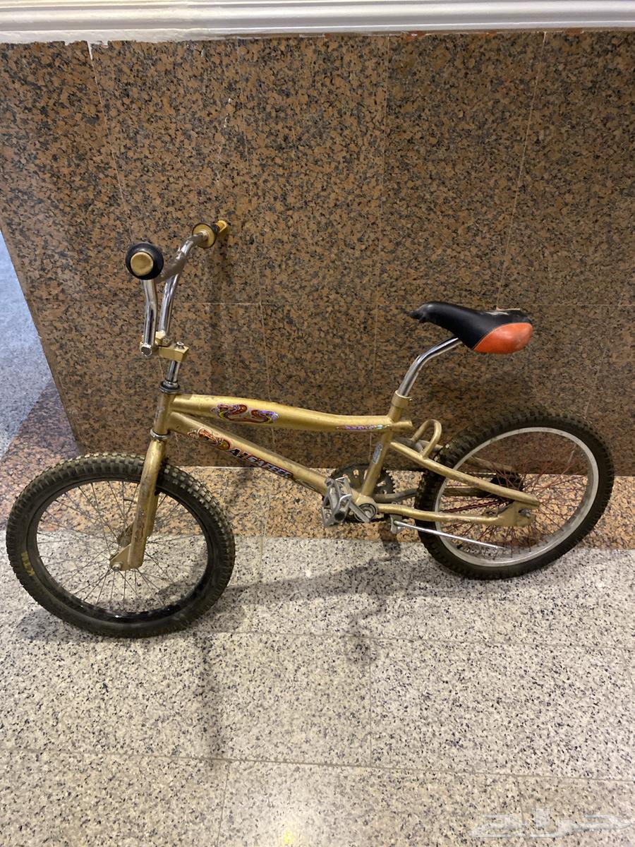 سيكل كوبرا للبيع64387481383939112