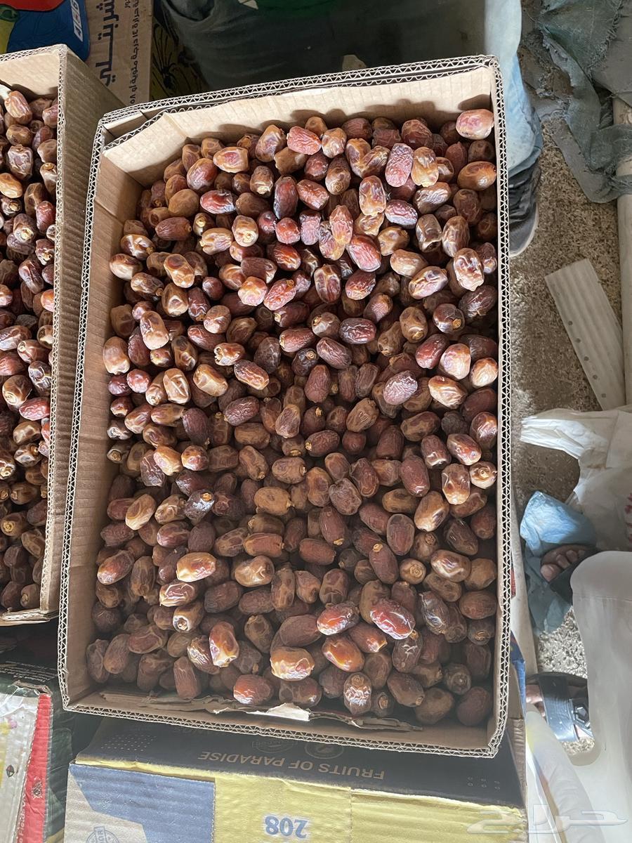 خلاص وادي للبيع الكميه 61 كرتون لتواصل64386304757891112