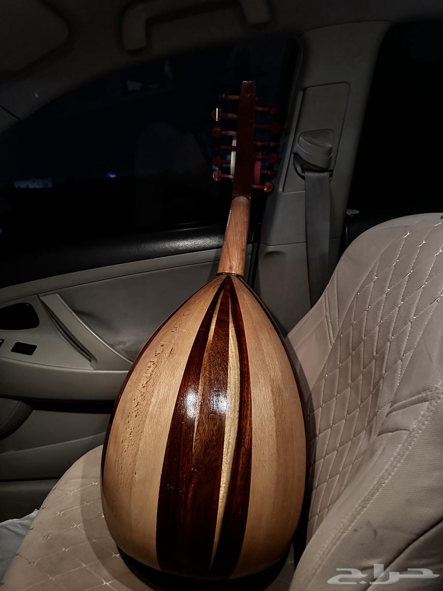 عود مصري للبيع على سوم64388826116226111