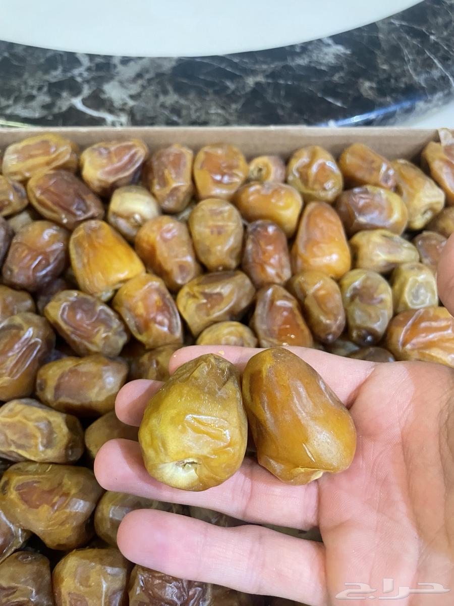 تمر رطب رقم واحد64390953546882110