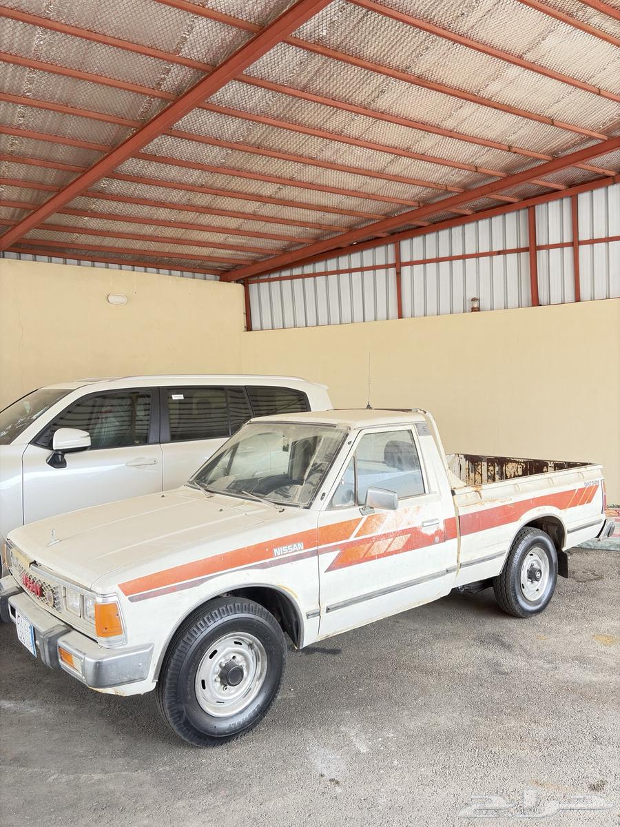 ددسن 85 شد بلد وكاله64524347370498112