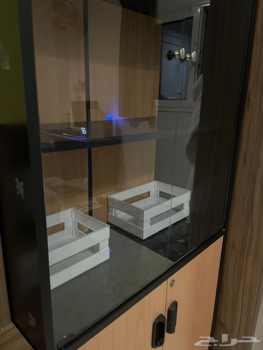 Library64377666782723110