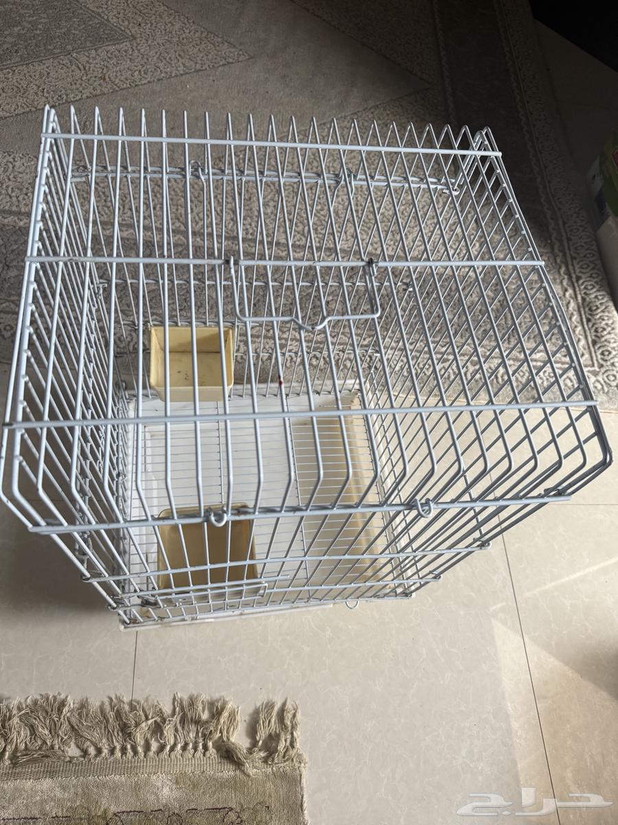 Kasco parrot cage and large parrot cage with white nesting box in good condition64382955819266110