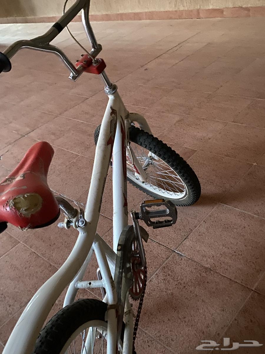 سيكلين وسكوتر للبيع64387912489217112