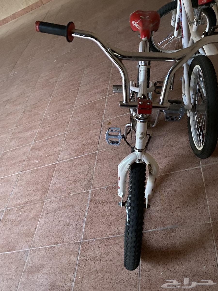 سيكلين وسكوتر للبيع64387912489217113