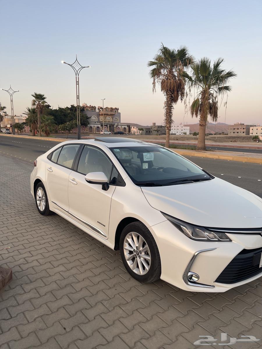 Korla 2020 Full Option Opening64509828054657111