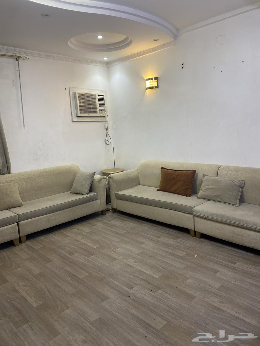 كنب نظيف بنسبه 9064388093387394112