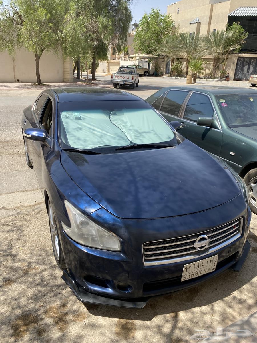 نيسان مكسيما 2010 ممشى بسيط64472325350659114