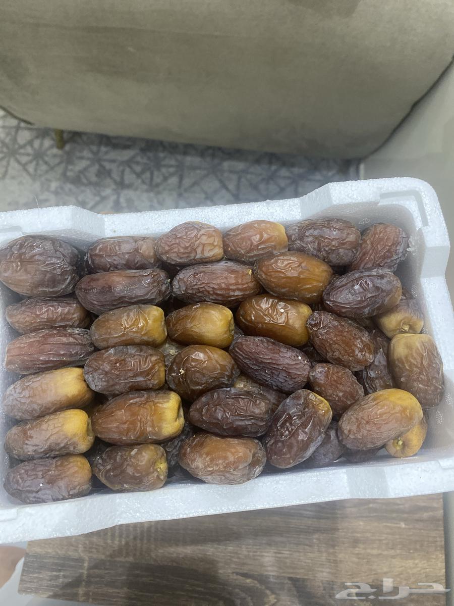 مجدول المدينه64383136167681110