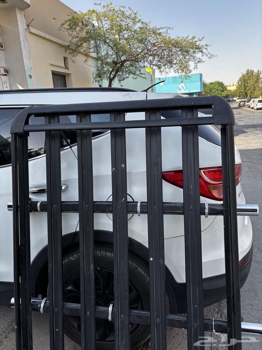 سله علويه64531674153602110