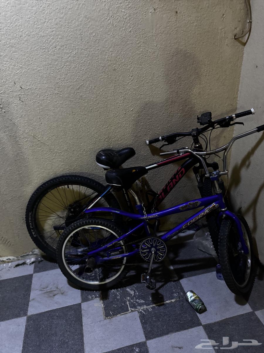 سياكل للبيع والبيع مستعجل64377652308097110