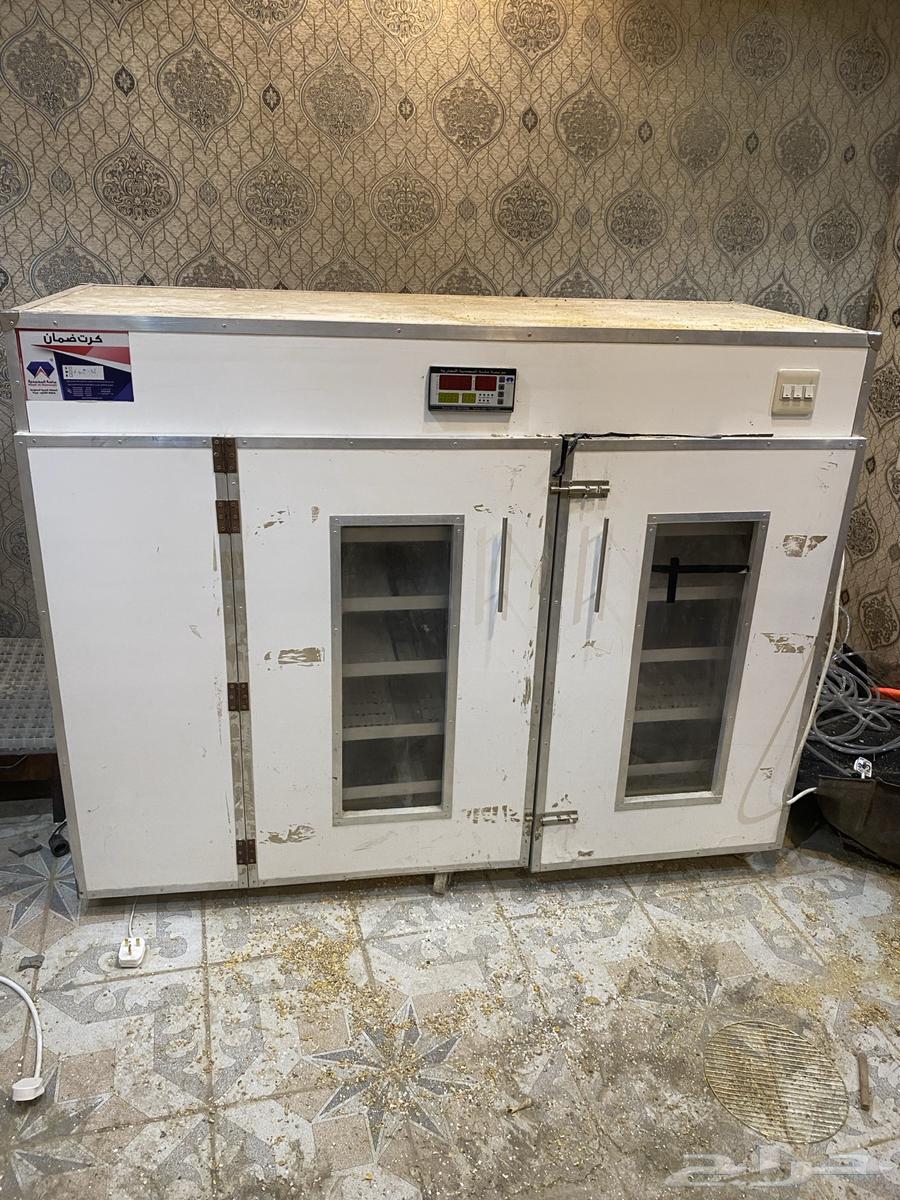 Tamatik incubator64378076334338110