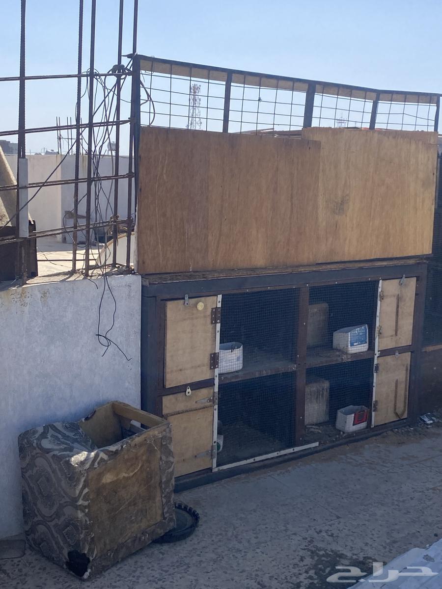 سكراب وحديد للبيع64385508904963112