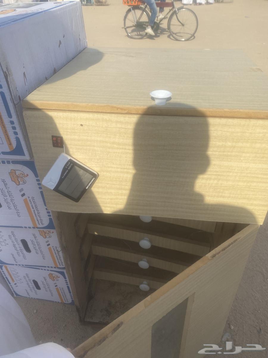 فقاسه للبيع64382141894658112