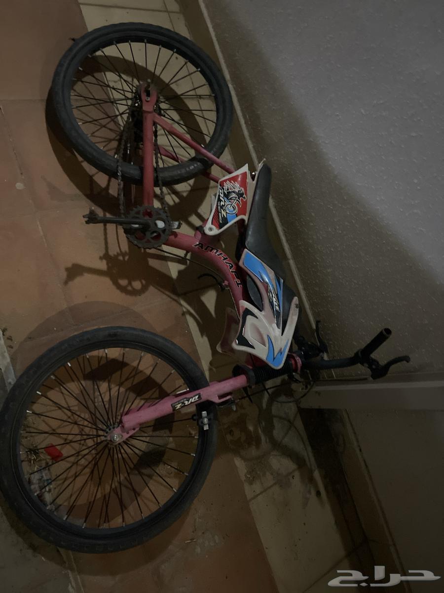 2 Bicycles and 1 Scooter64391243377154112