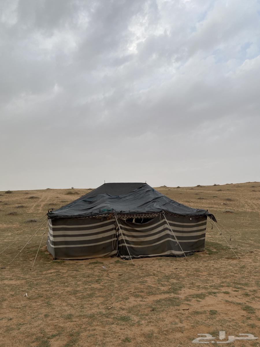 خيمة بيت شعر64383760487683111