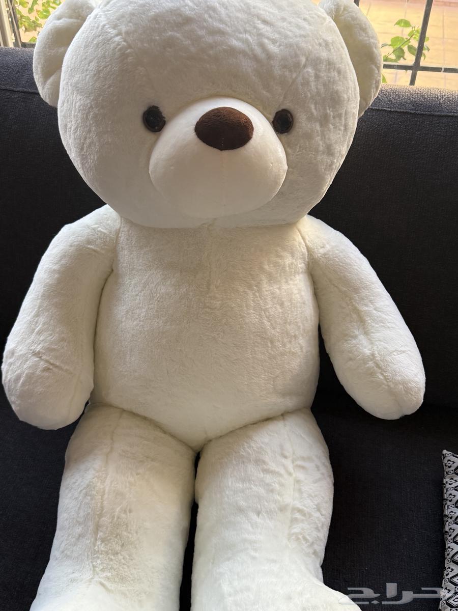 دبدوب ابيض كبير64386374292097110