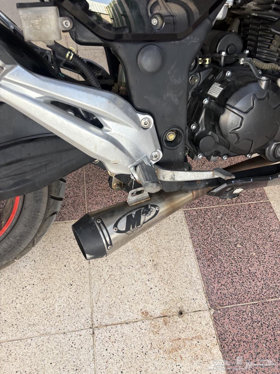 دباب عايد202364529854485763110