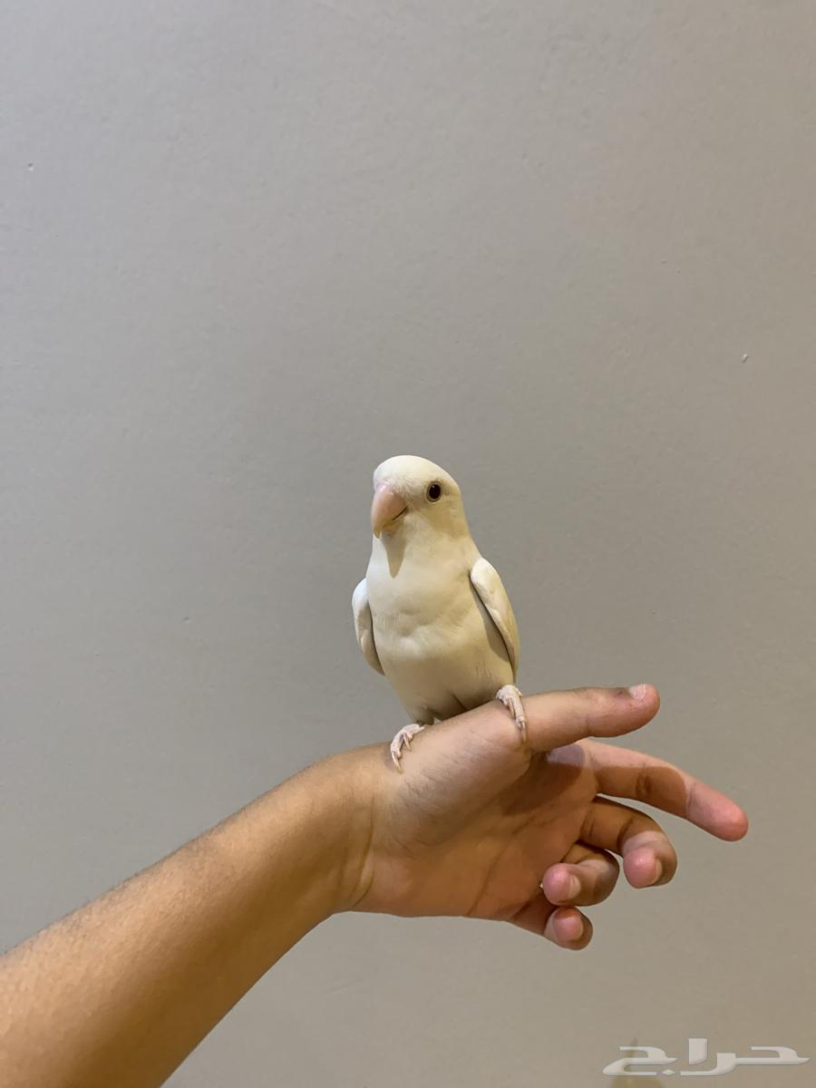 Day64388853572226112