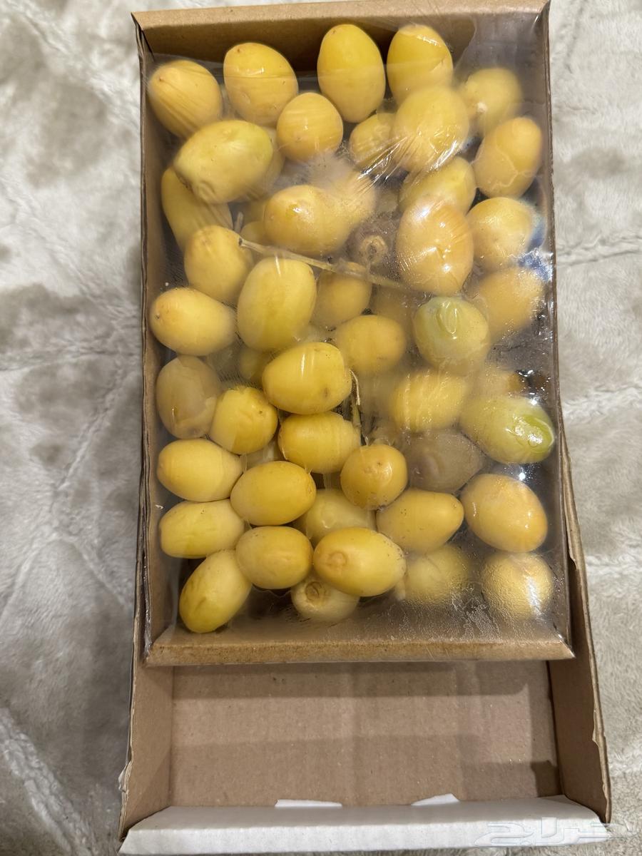 Dates64382679643779114