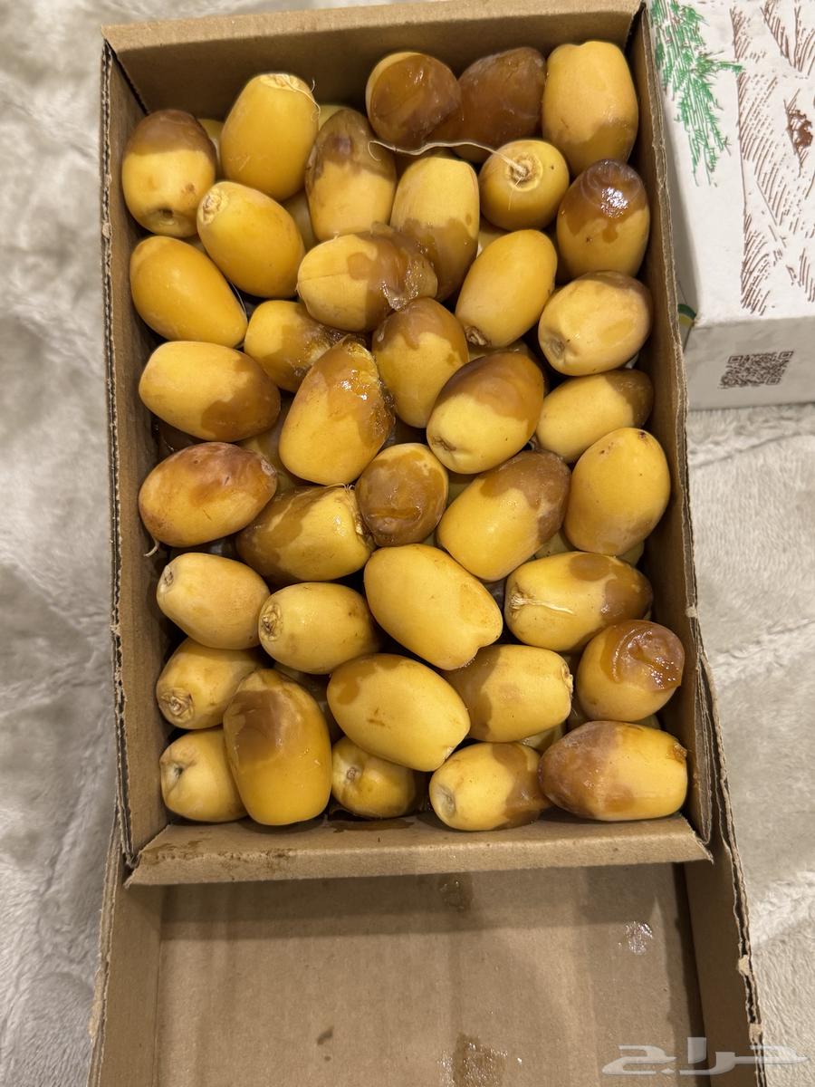 Dates64382679643779113