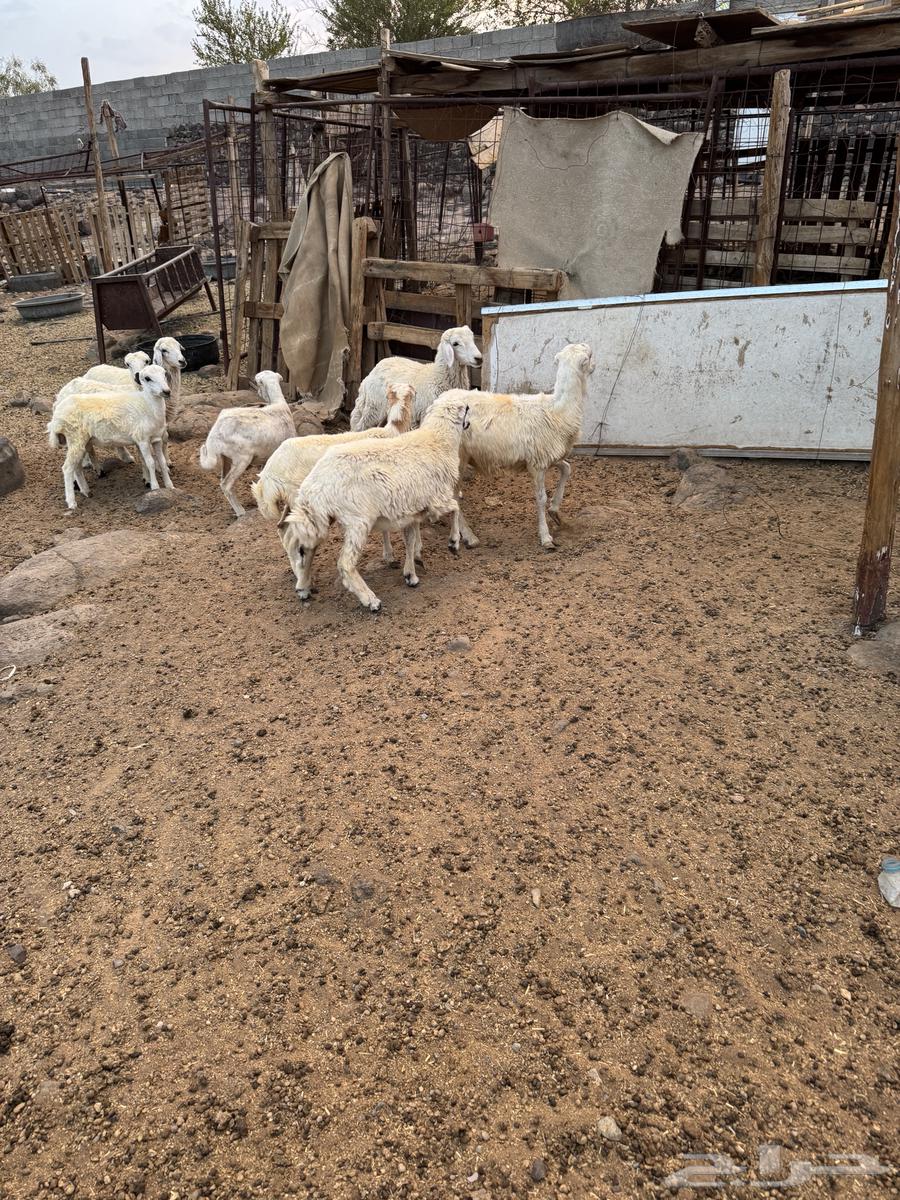 Help me and support me64384161632257111