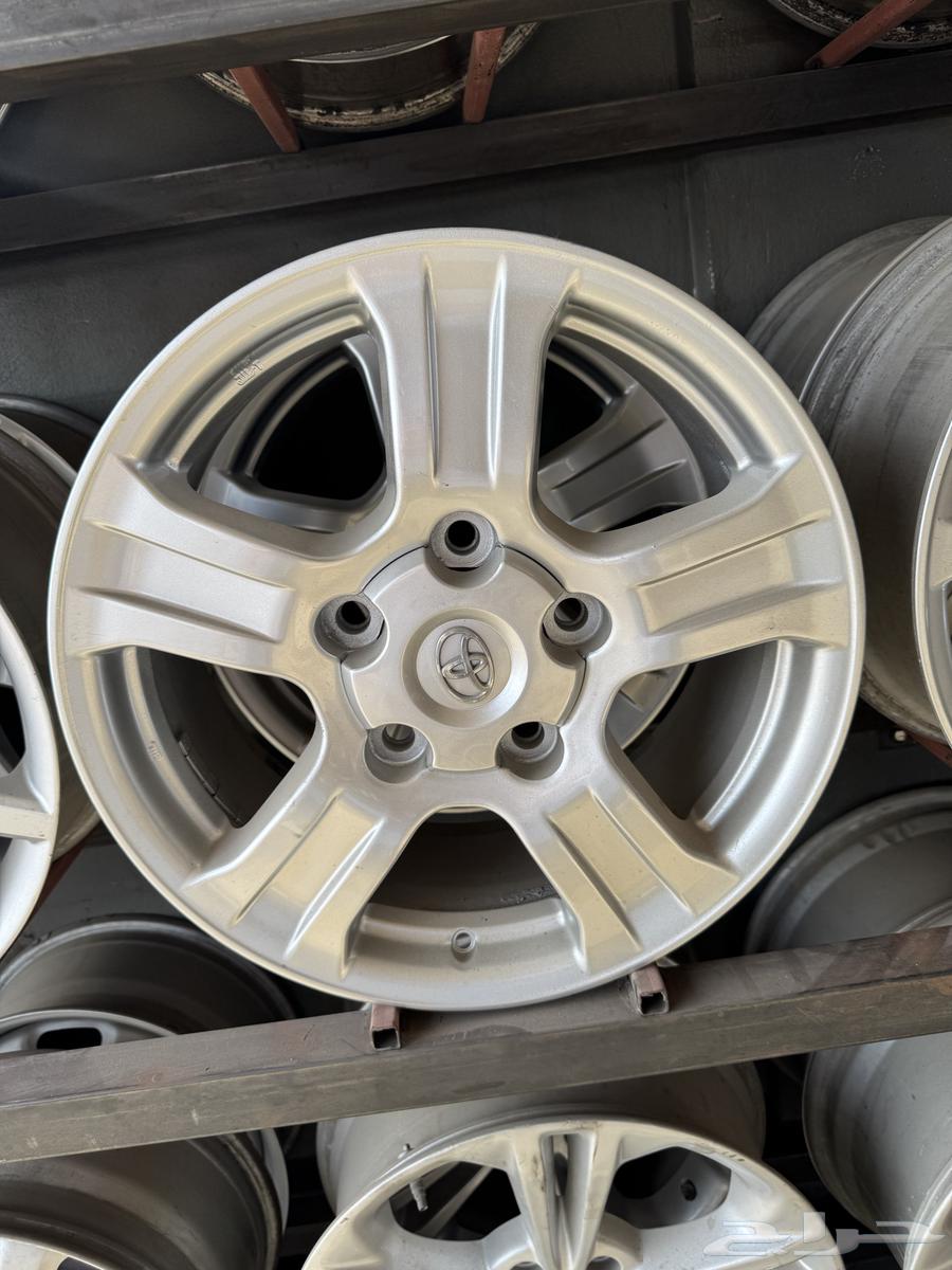 جنوط سكويا اصلي 1864529278266242112