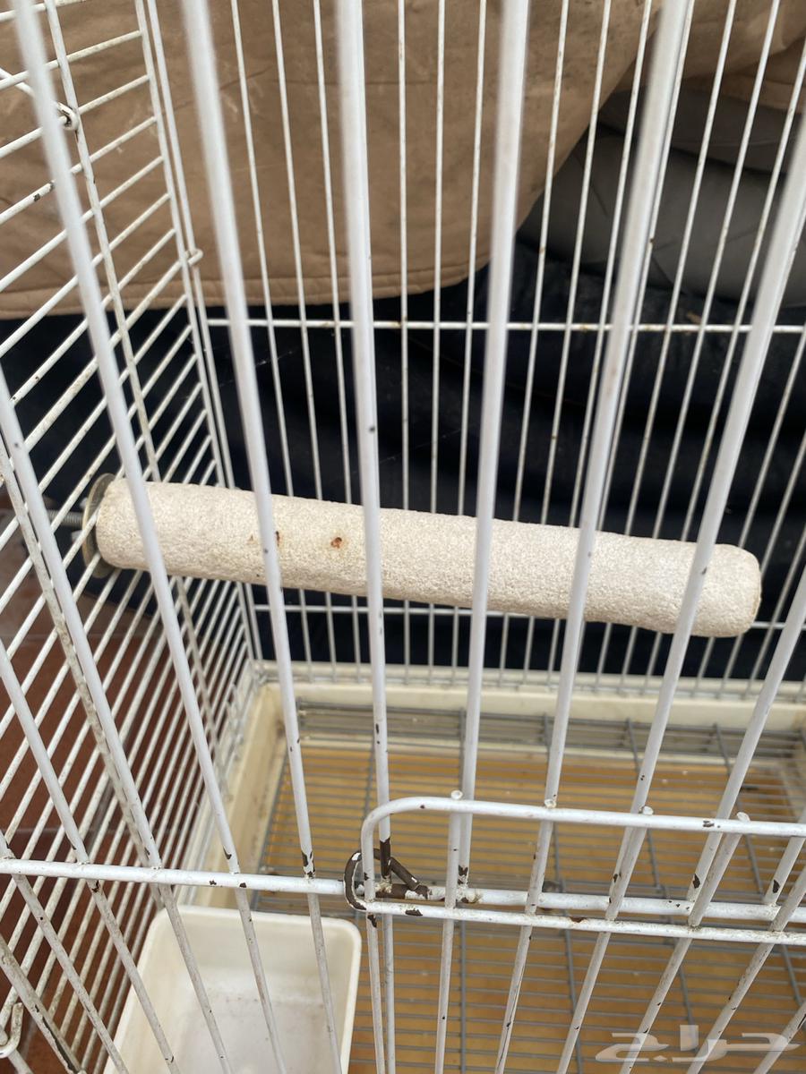 للبيع قفص طيور64386821959171111