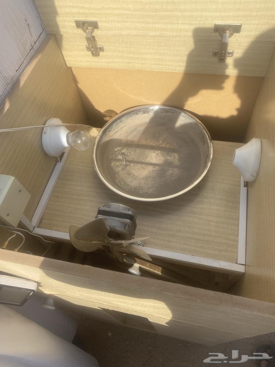 فقاسه للبيع64382141894658110