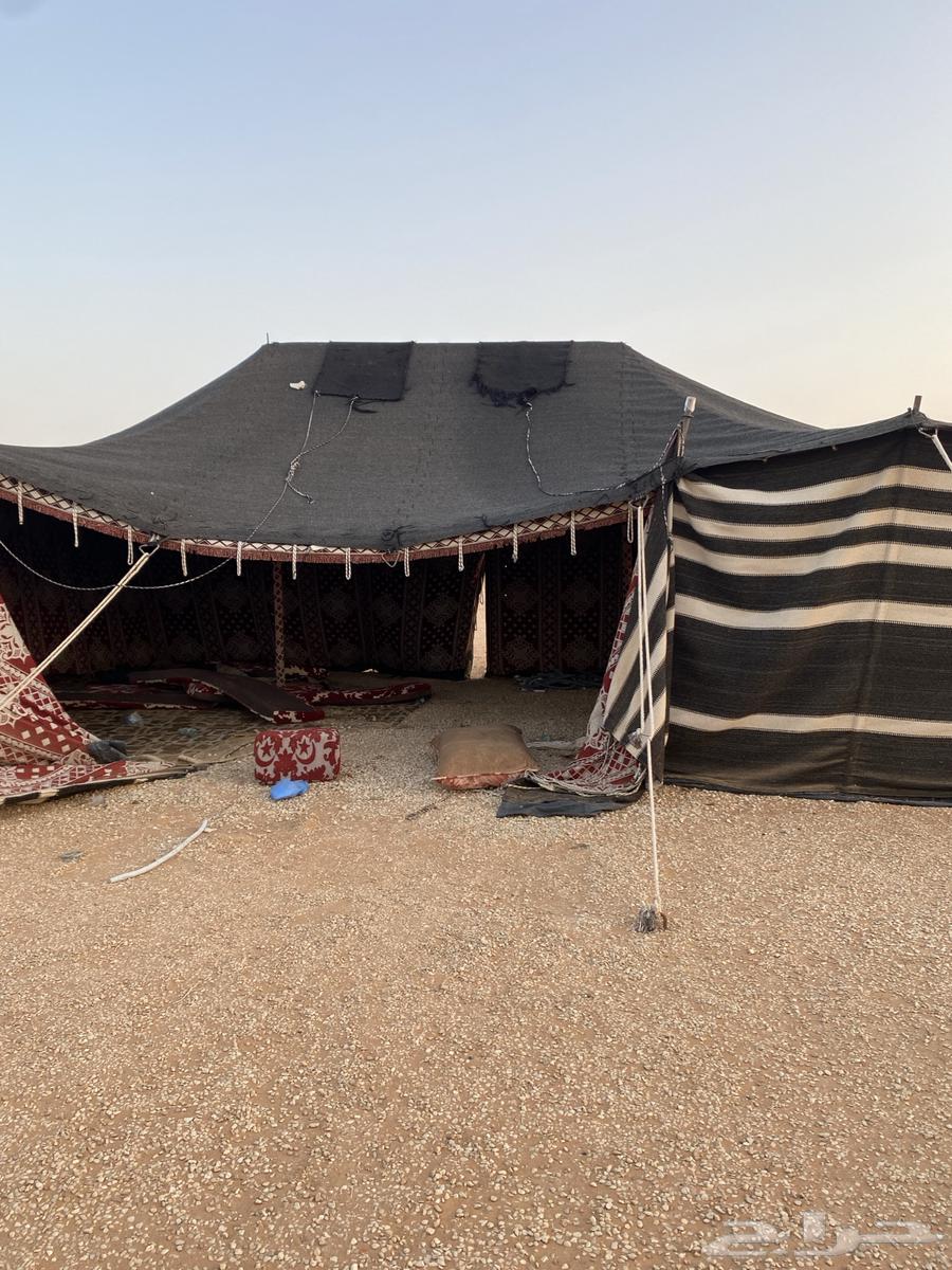 للبيع اغراض مخيم وبيوت شعر نظيفه64379732528898110