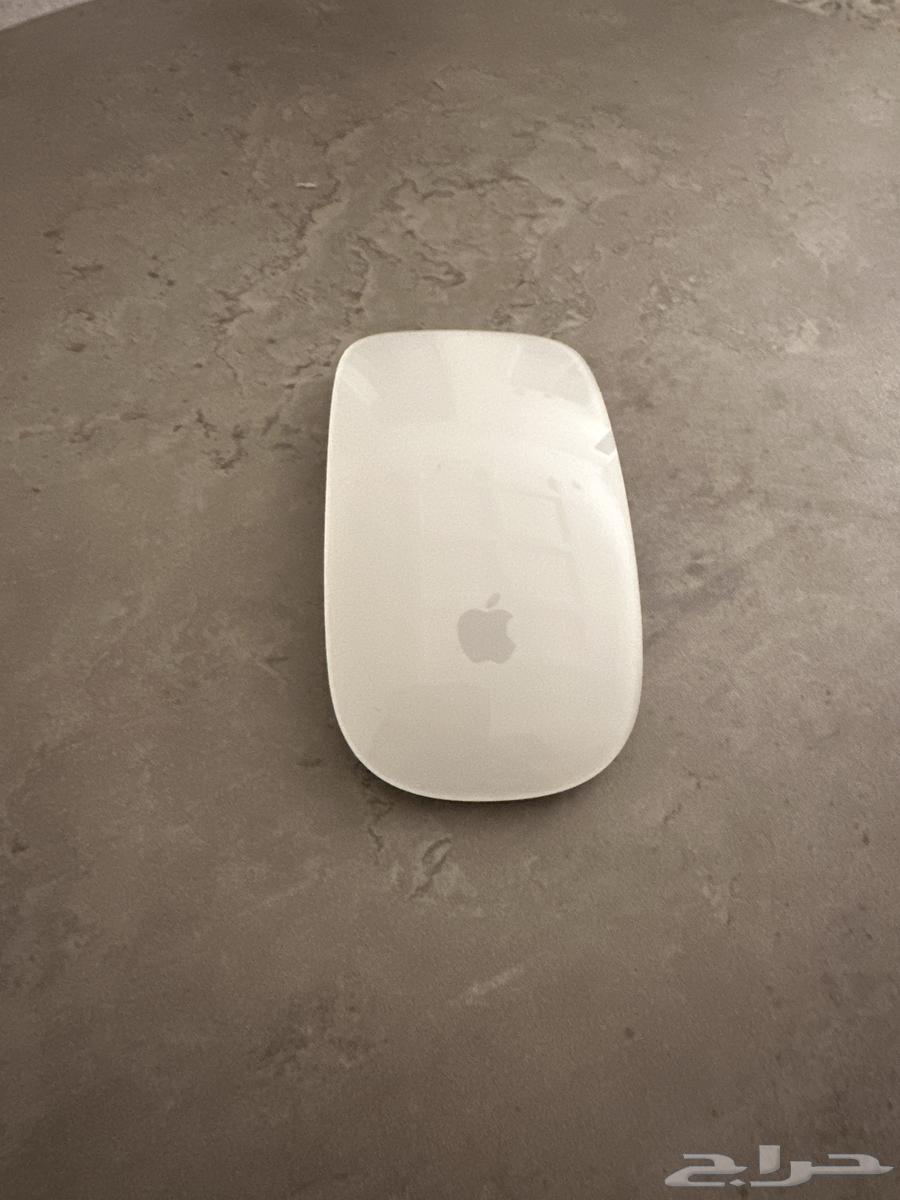 Magic Keyboard and Mouse64389419451266110