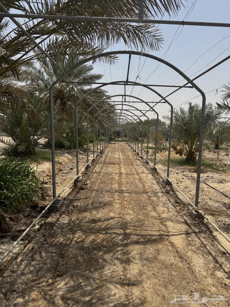 للبيع بيوت محمية جودة64382873559042111